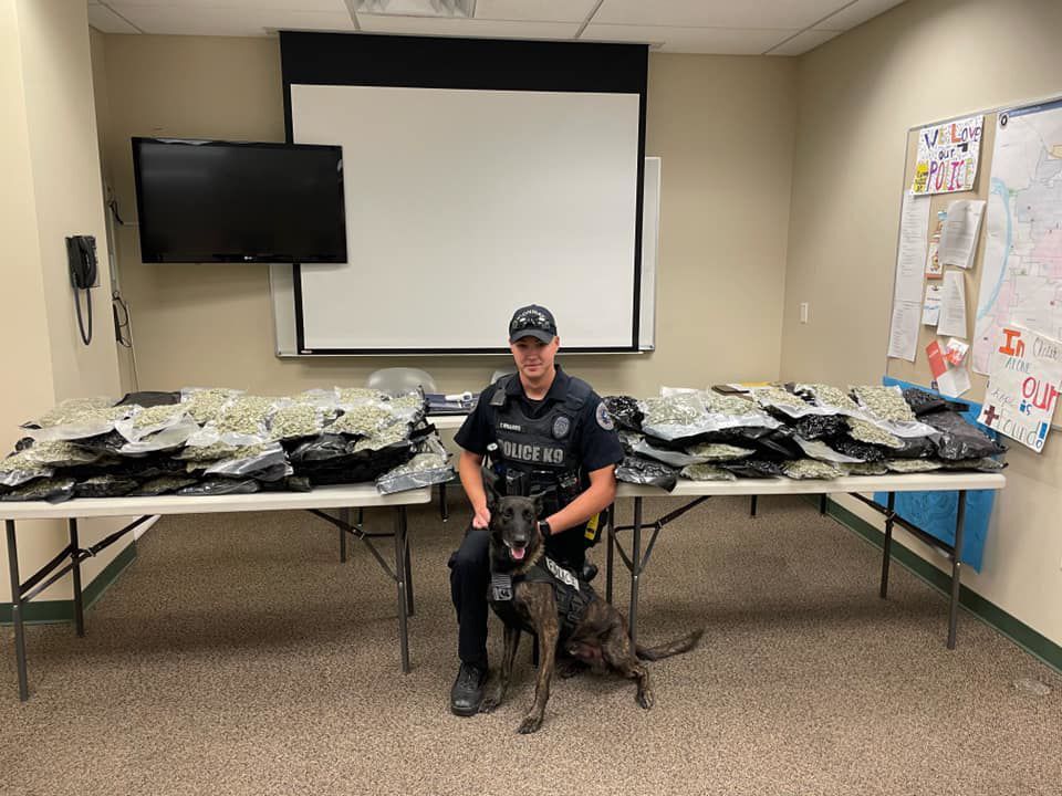 Drug bust